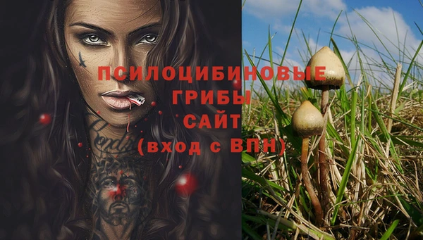 прущий лед Богородск