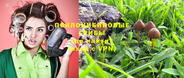 МДМА Богданович