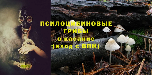МДМА Богданович