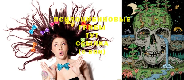 тгк Богородицк