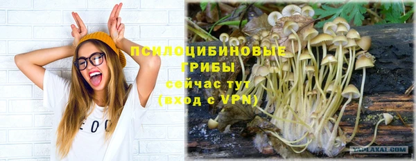 МДМА Богданович