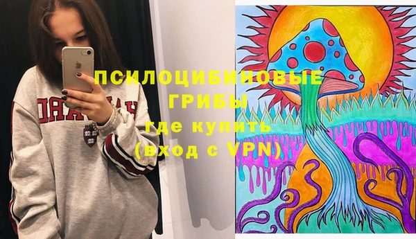 тгк Богородицк