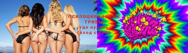 МДМА Богданович