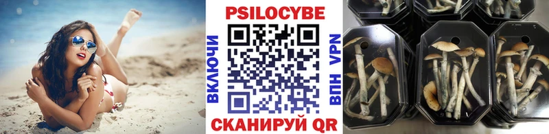 Галлюциногенные грибы прущие грибы  закладки  Томск 